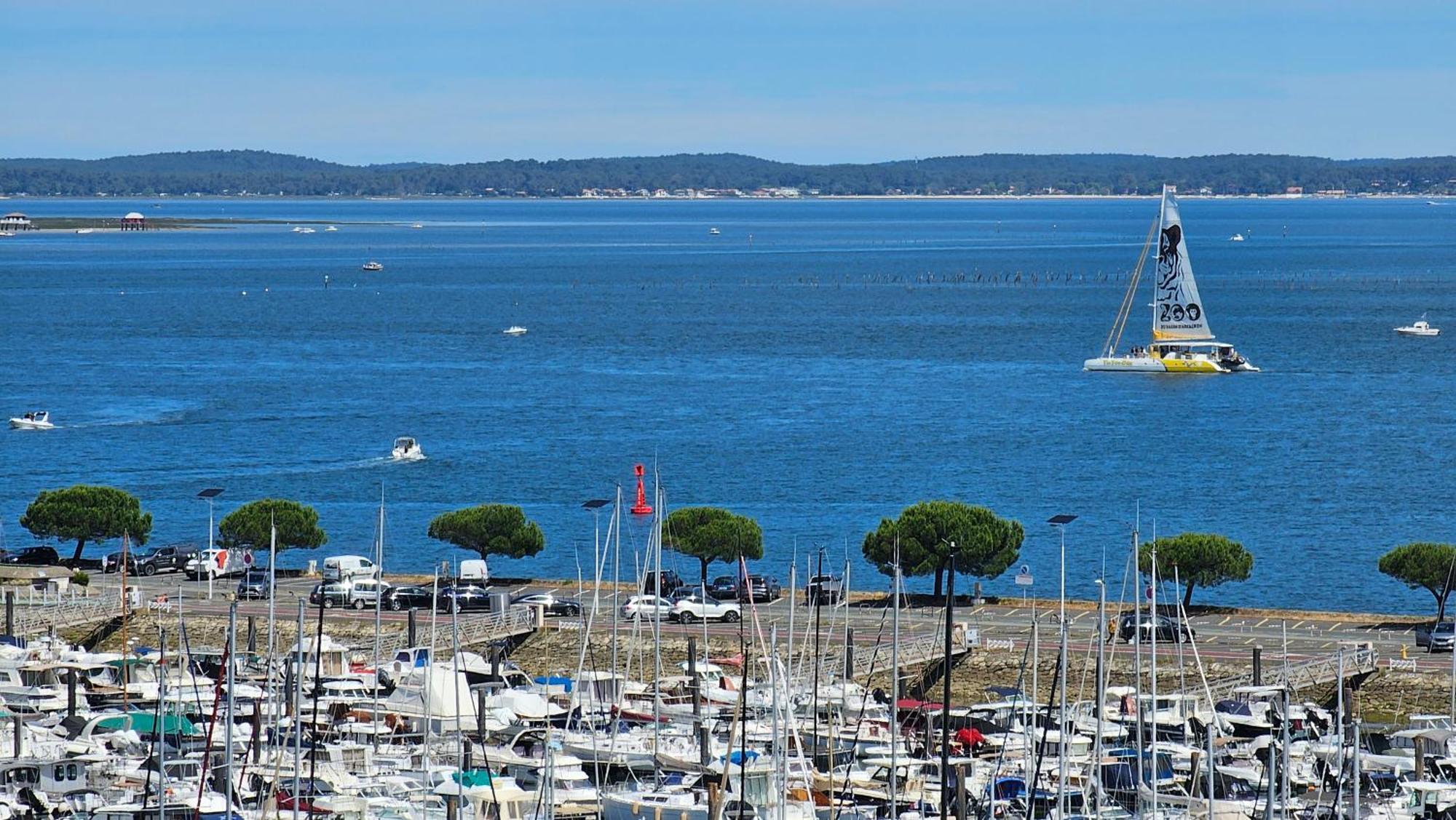 아르카숑 Vue Panoramique Sur Bassin,Piscine Et Terrasse 아파트 외부 사진